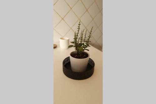 Apartamento Lo de Pascuala (Desayuno Autoservice Y Cochera)