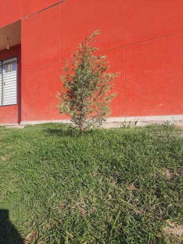 Caba�a De Campo