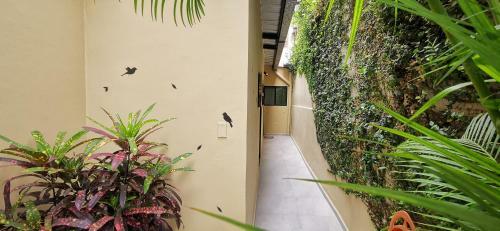 Apartamento Habitaci�n A Independiente Para Parejas O Ejecutivos