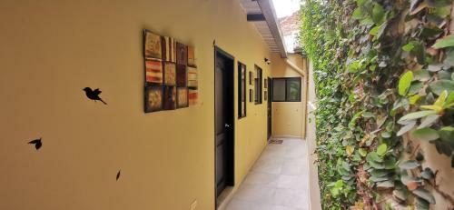 Apartamento Habitaci�n A Independiente Para Parejas O Ejecutivos