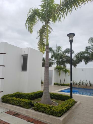 La Pavita En Manta
