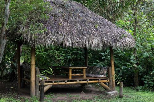 Hotel El Abrazo Del Arbol