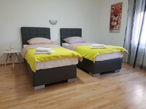 Apartamento Patricia House