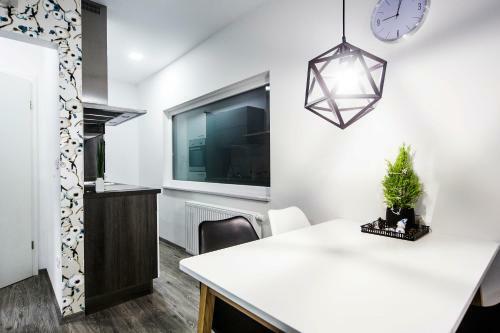 Luxury Studio Apartments