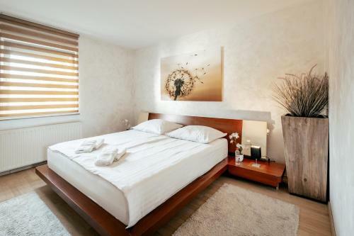 Apartments In Villa Olimp