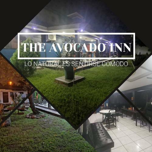 Apartamento The Avocado Inn