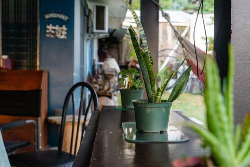Apartamento The Avocado Inn