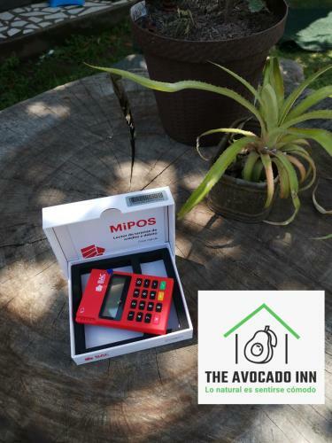 Apartamento The Avocado Inn