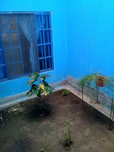 Hostal Juan Lindo