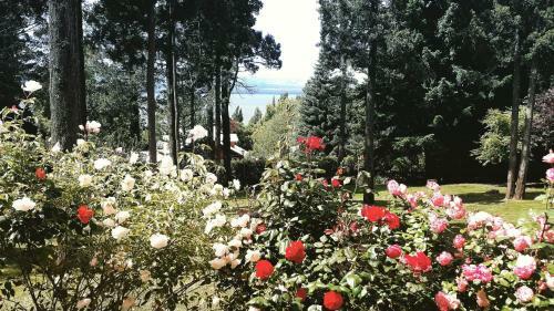 Apartamento Casa Bariloche 2 Dorm