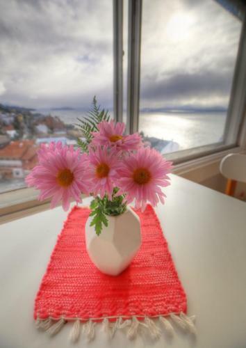 Apartamento Departamento C�ntrico Con Vista
