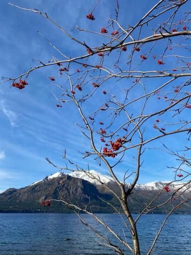 Beatiful Cabin In Bariloche