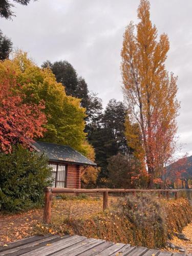 Beatiful Cabin In Bariloche