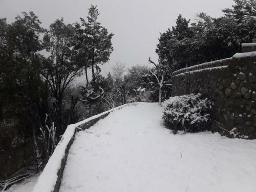 Apartamento Cerro Dorado Norte