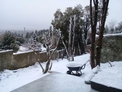 Apartamento Cerro Dorado Norte