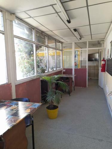 Pipperland Hostel Brc