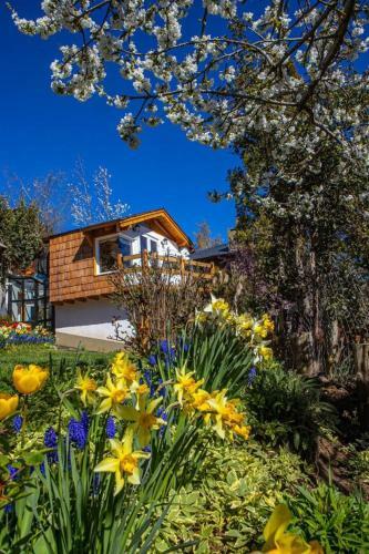 Tu Apart En Bariloche 16