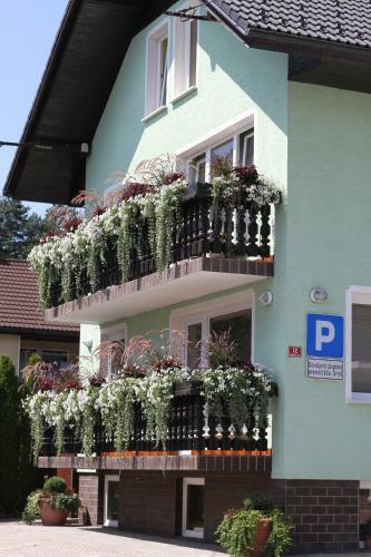 Homestay Sre?