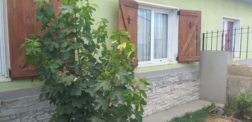 Habitaci�n Privada En Casa de Familia