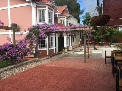 Hotel Orquidea Limon Suites