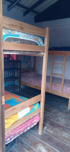 Albergue Blue House Hostal