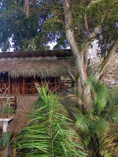 Hotel Nunkai Eco-hostal & Caf� Bosque