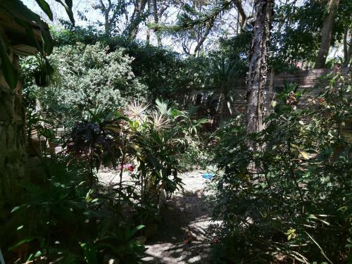 Apartamento Caba�a De Piedra