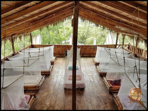 Albergue Iguana Beach House