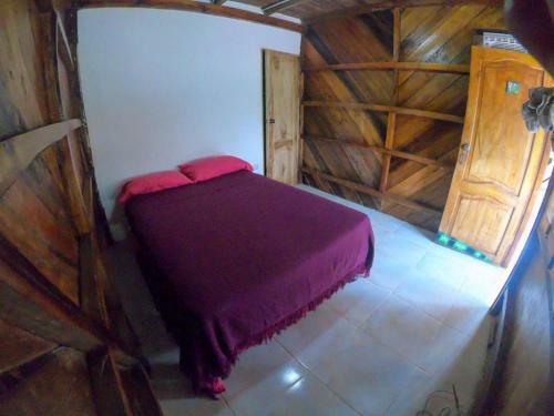 Albergue Iguana Beach House