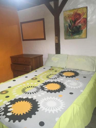 Albergue Kon Tiki Monta?ita