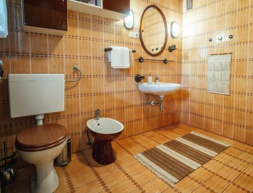 Apartma Borovc