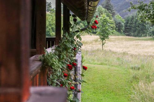 House Alpine Rose