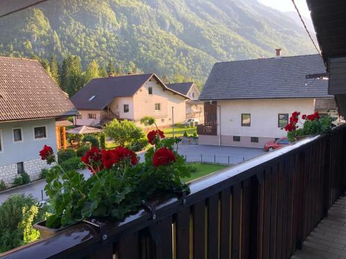 Apartamentos Savadolinka House