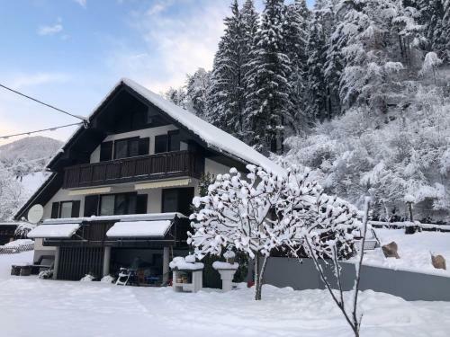 Apartamentos Savadolinka House