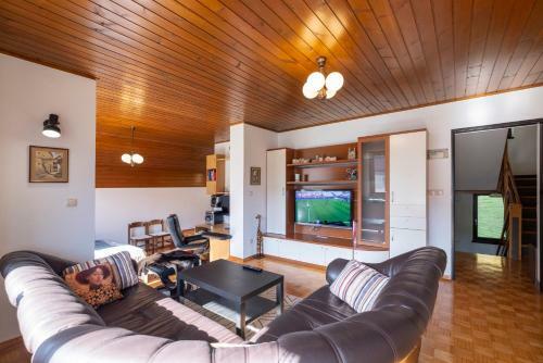 Apartamentos Savadolinka House