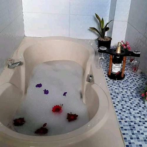 Eco-hotel Y Caba�as