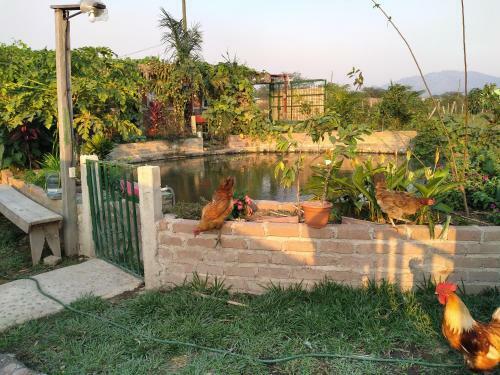 Eco-hotel Y Caba�as