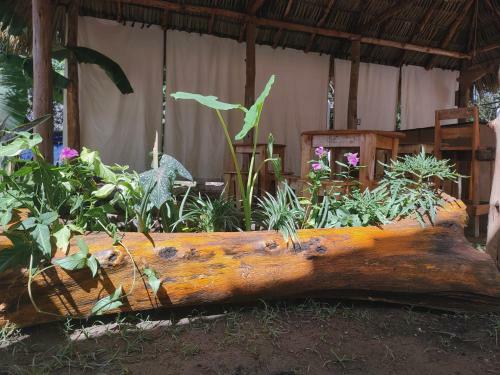 Hotel Caba�as Puesta Del Sol