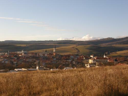 ?e?eni Dom?urik
