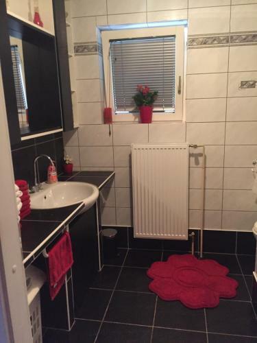 Apartment Entire Place