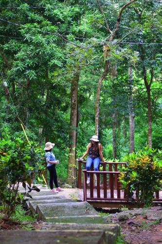 Apartamento Los Laureles Hotel