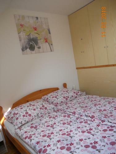 Apartamentos Vijolica 2
