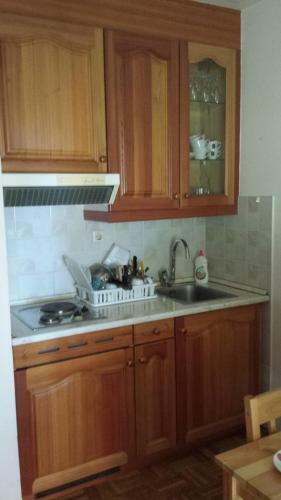 Apartma Tr 43