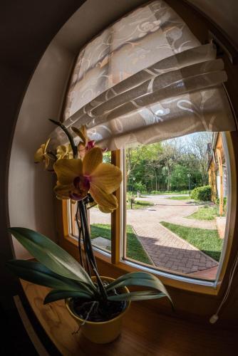 Apartma Marjetica 2