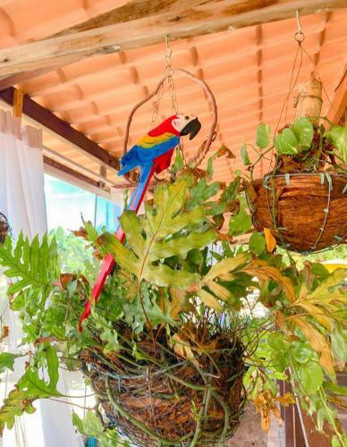 Hostal In�cio Dos Milagres