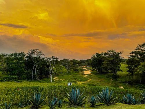 Lodge Gatuncrocs, Private Villa With Lake & Garden Views