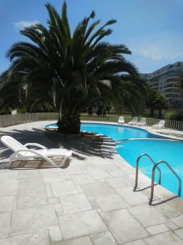 Apartamento La Serena Hermosa
