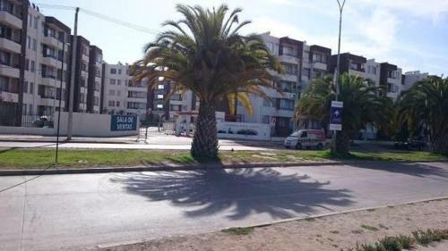 Apartamento Arriendo En La Serena