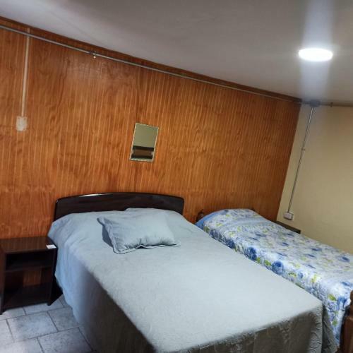 Lonquimei Hostal