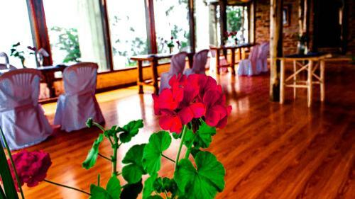 Hotel Tuparina Lodge